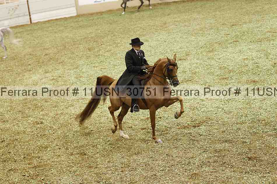 Proof 11usn_30751