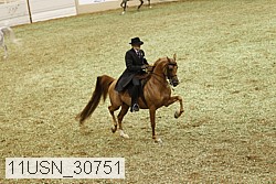 11usn_30751 proof