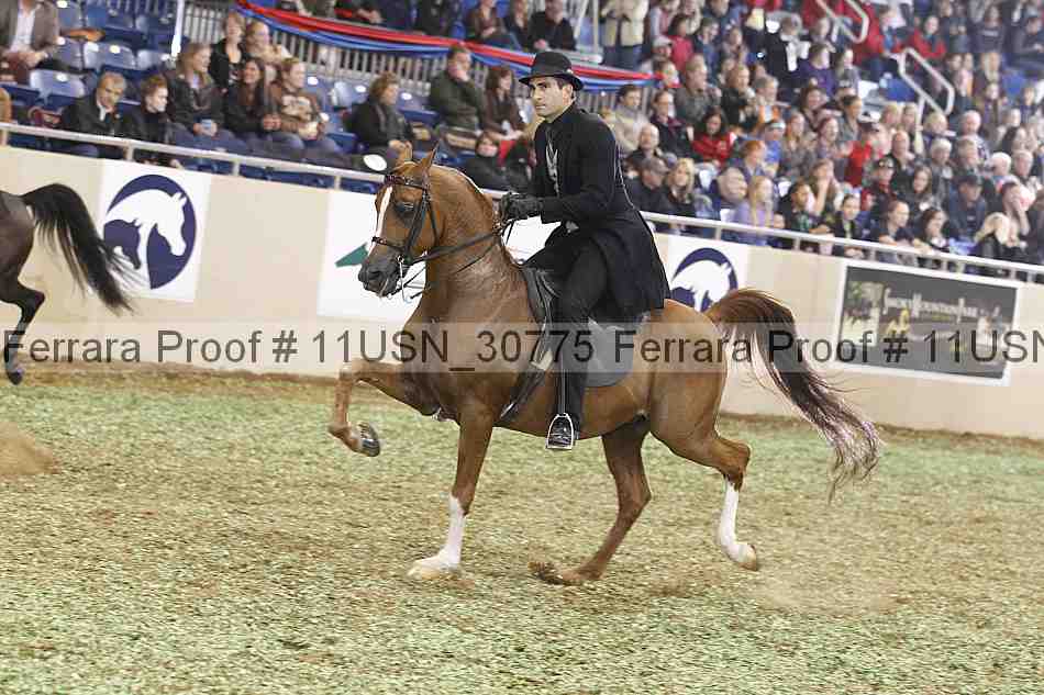 Proof 11usn_30775