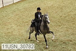 11usn_30782 proof