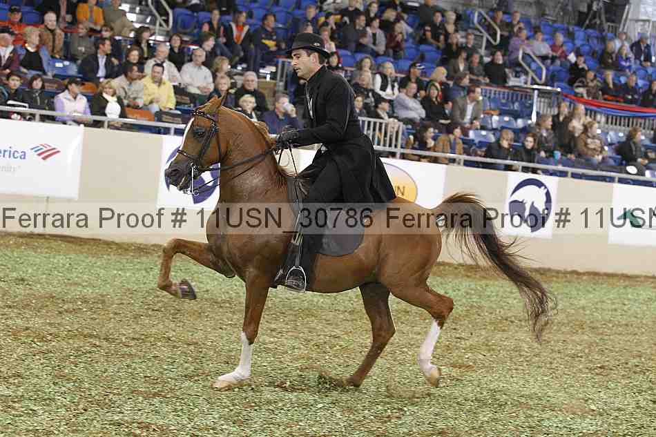 Proof 11usn_30786