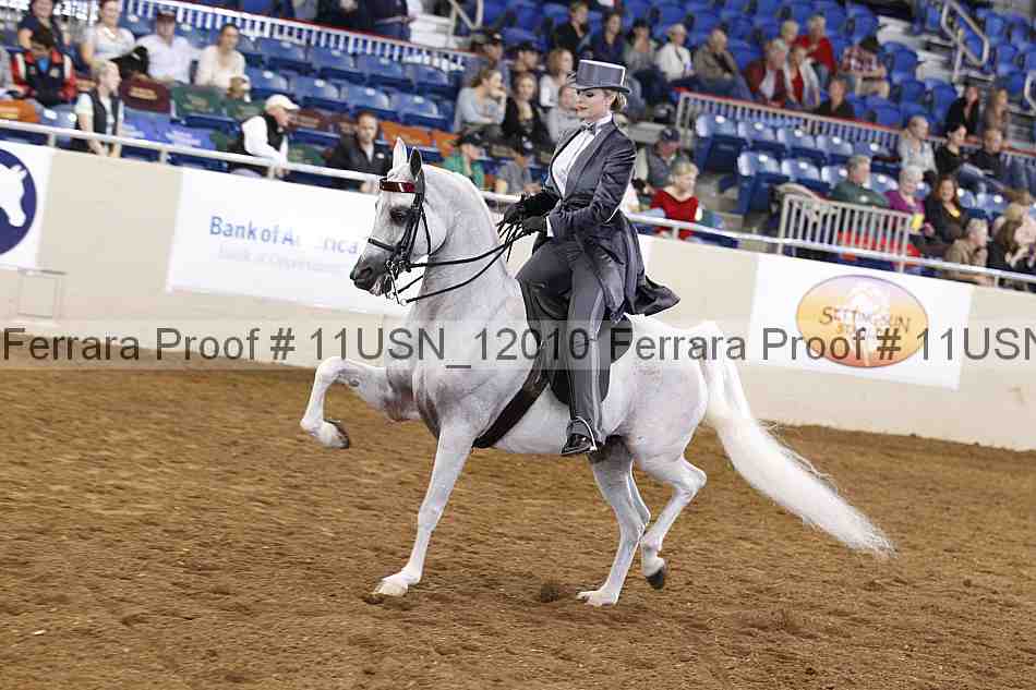 Proof 11usn_12010