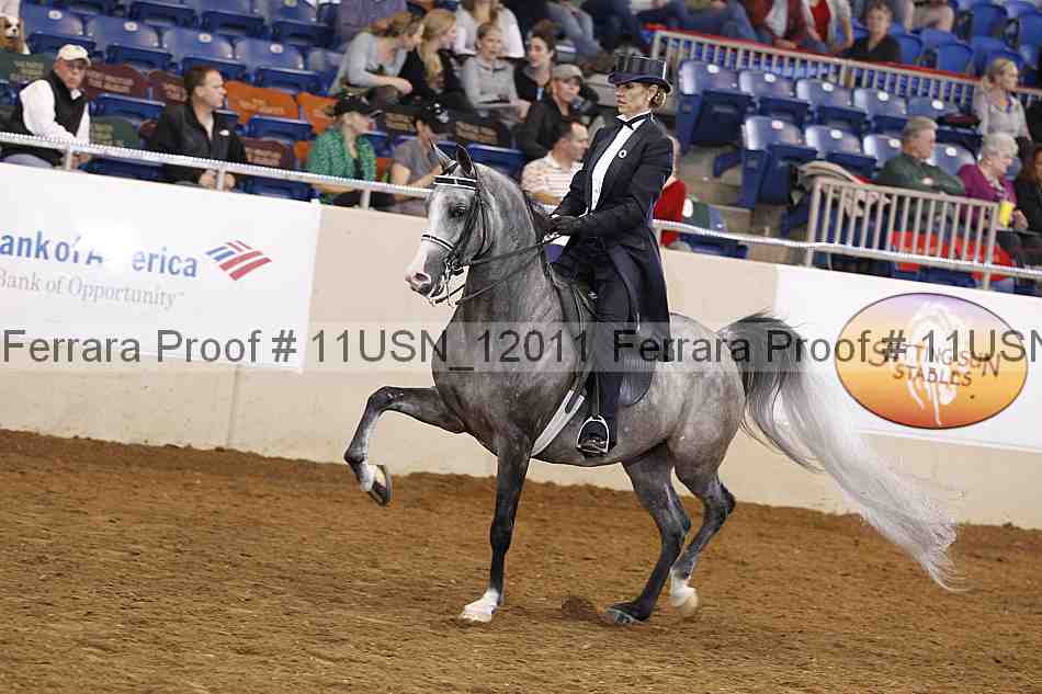 Proof 11usn_12011