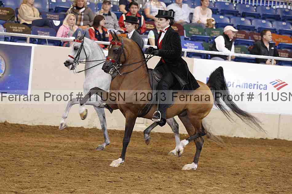 Proof 11usn_12013