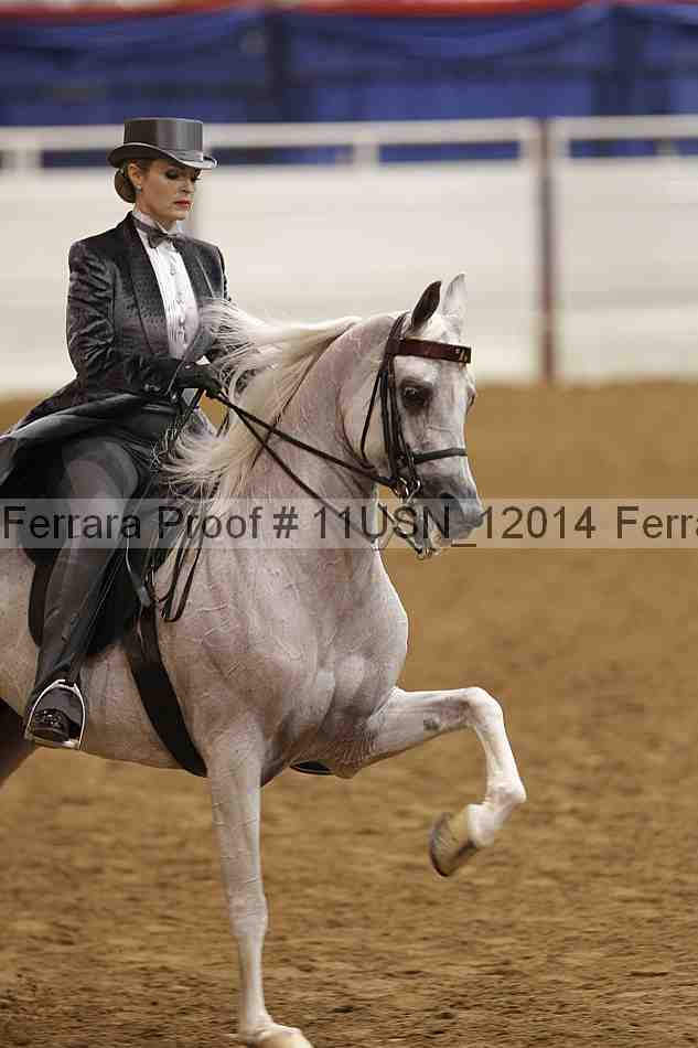 Proof 11usn_12014