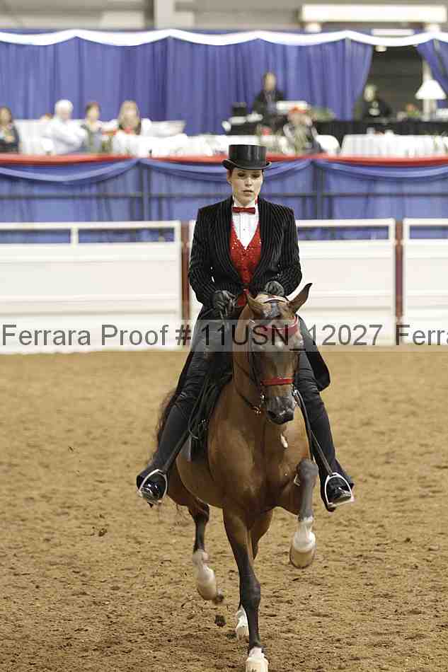 Proof 11usn_12027