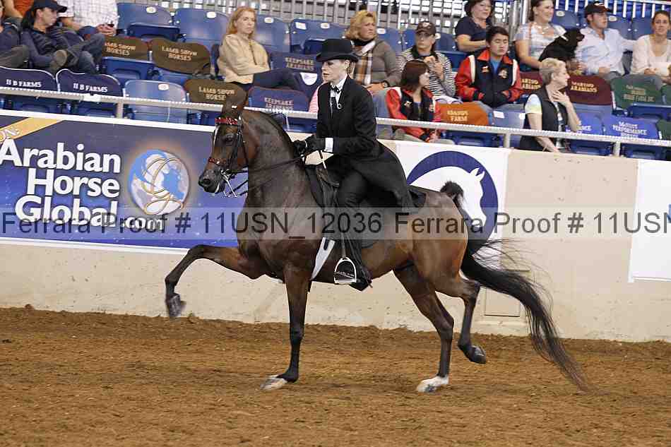 Proof 11usn_12036