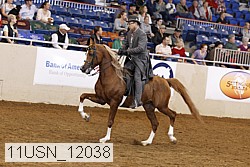 11usn_12038 proof
