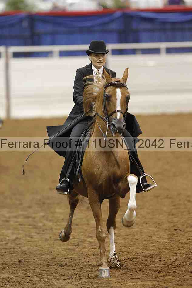 Proof 11usn_12042