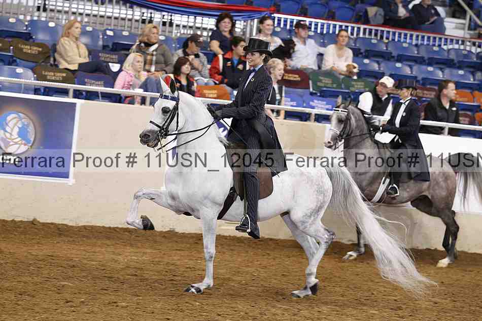 Proof 11usn_12045