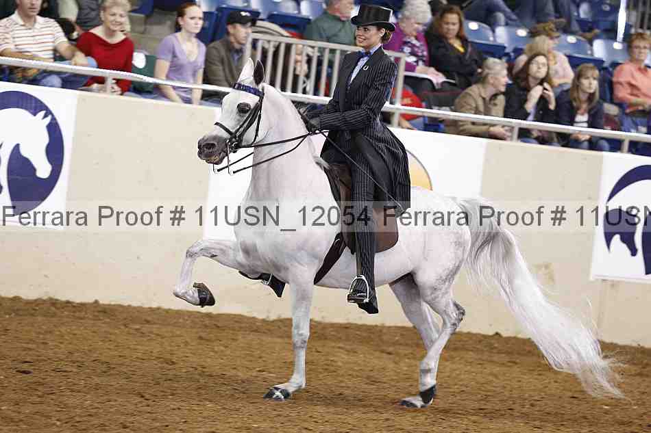 Proof 11usn_12054