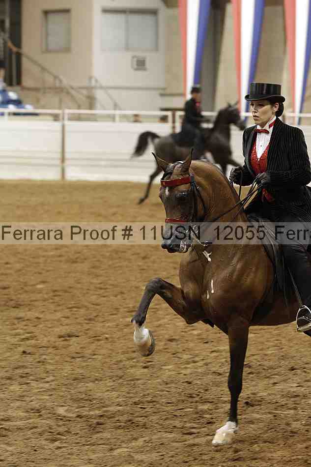Proof 11usn_12055