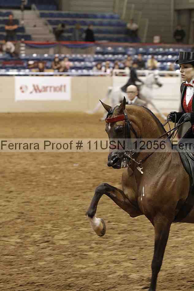 Proof 11usn_12056