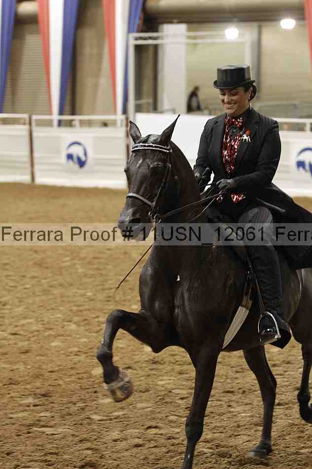 Proof 11usn_12061