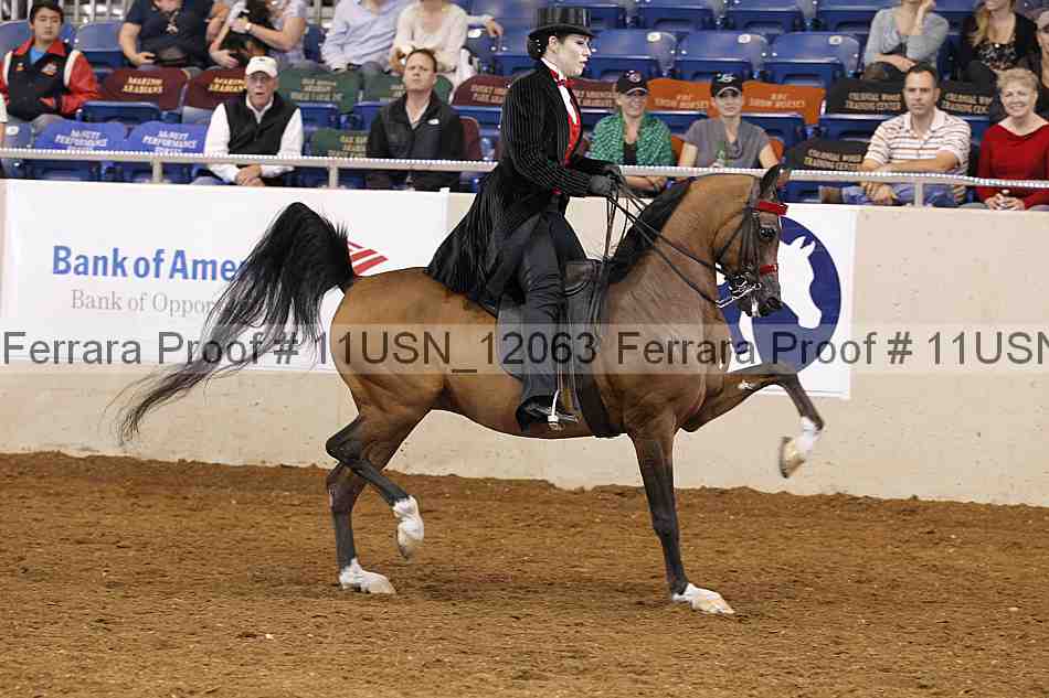Proof 11usn_12063