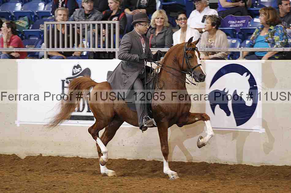 Proof 11usn_12065