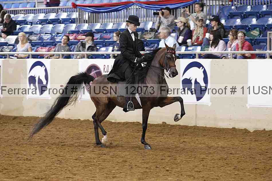 Proof 11usn_12073