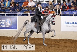 11usn_12084 proof