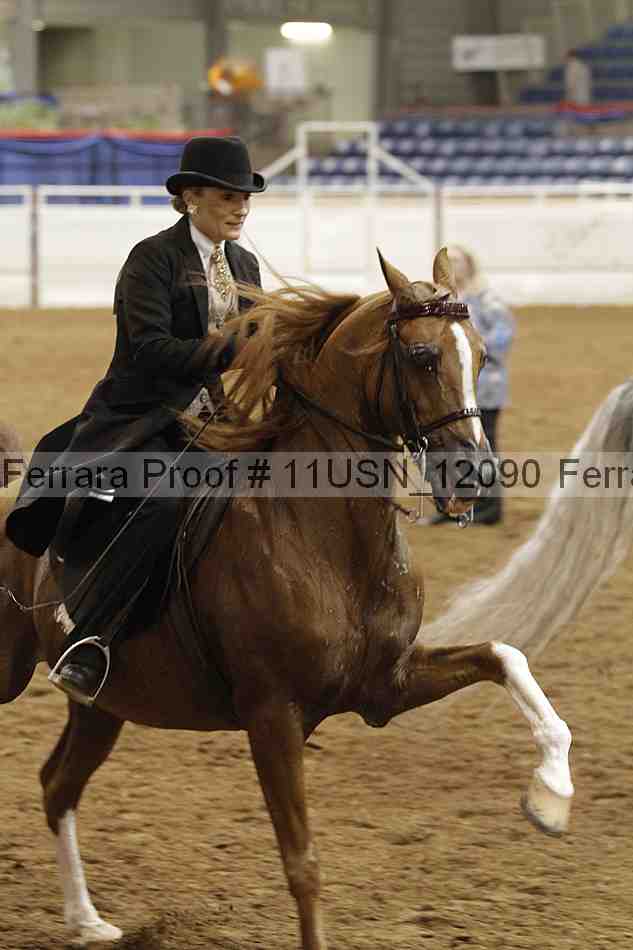 Proof 11usn_12090