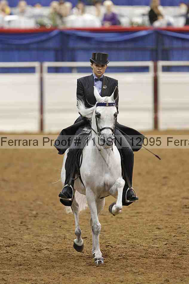 Proof 11usn_12095