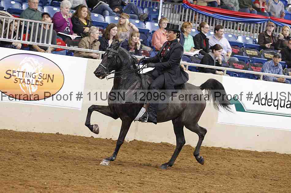 Proof 11usn_12096