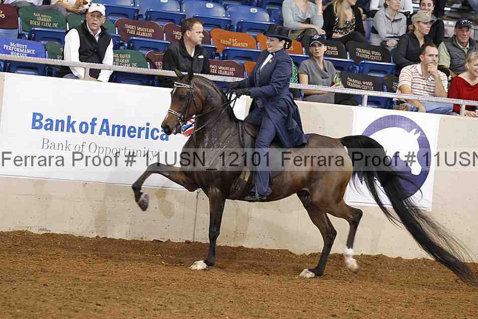 Proof 11usn_12101