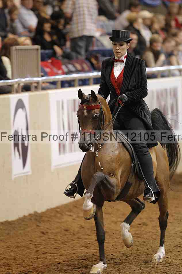 Proof 11usn_12105