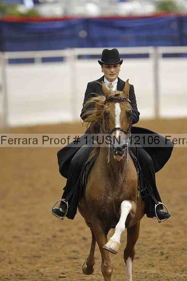 Proof 11usn_12106
