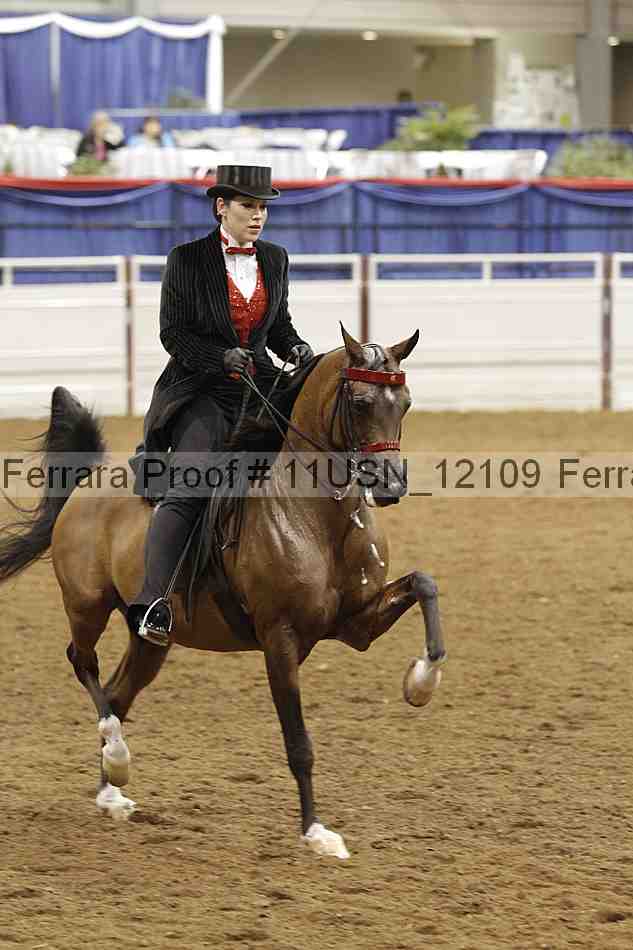 Proof 11usn_12109