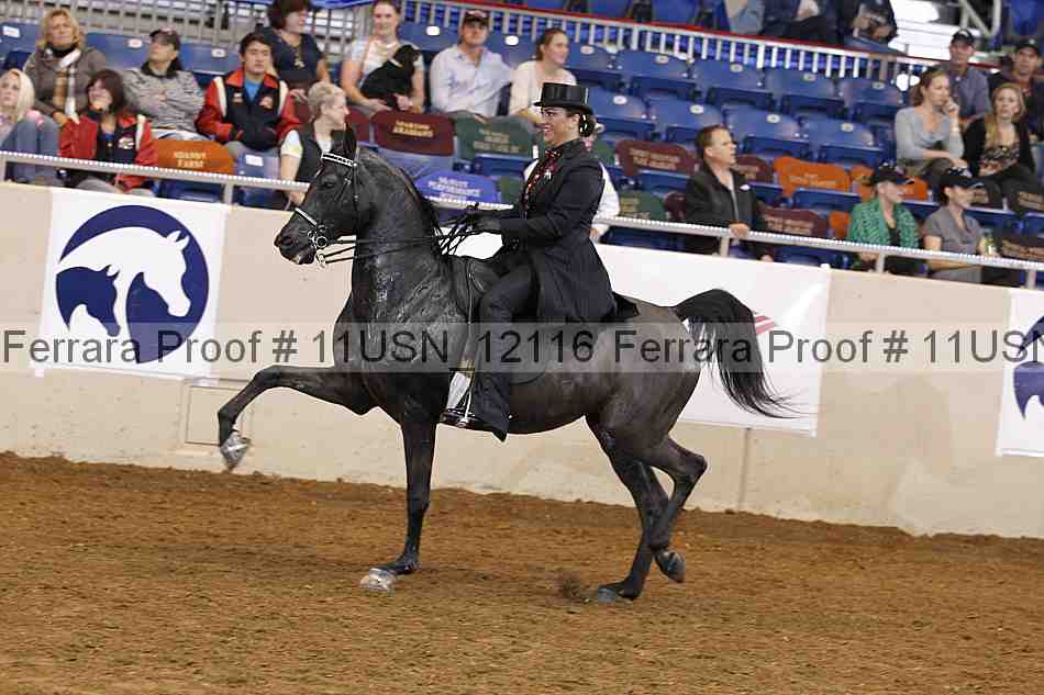 Proof 11usn_12116