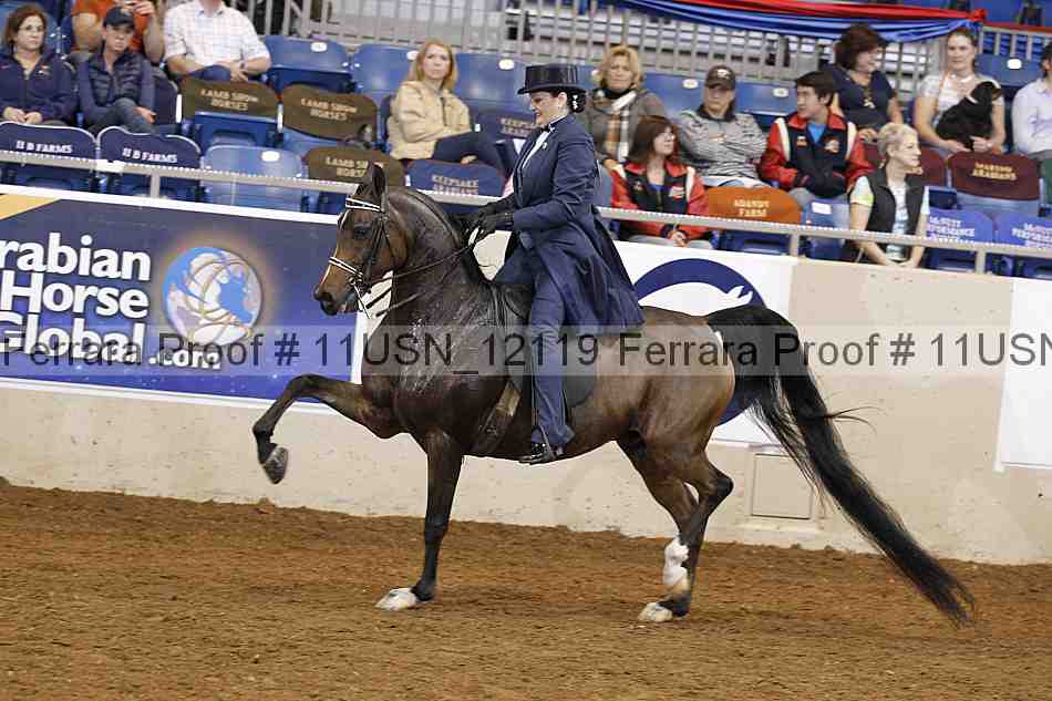 Proof 11usn_12119
