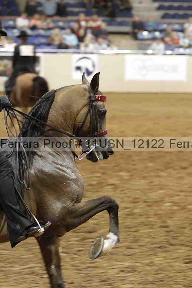 Proof 11usn_12122