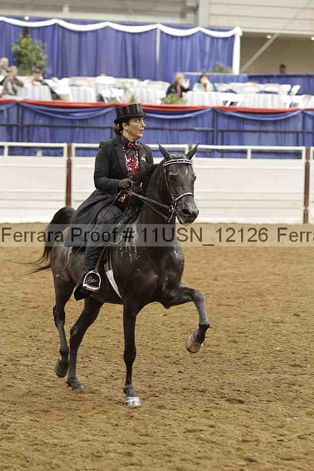 Proof 11usn_12126