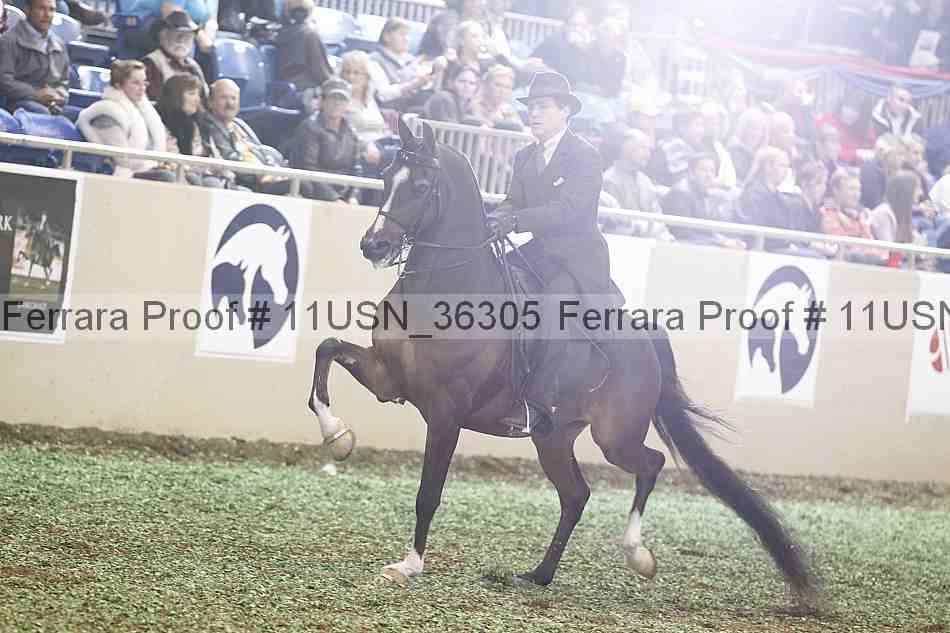 Proof 11usn_36305