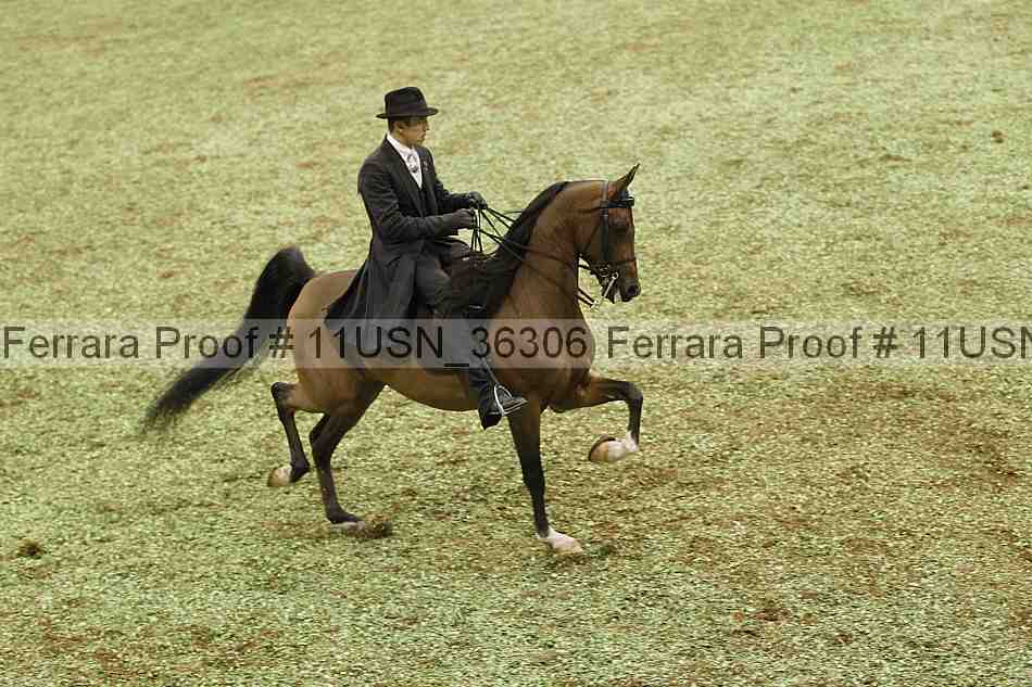 Proof 11usn_36306