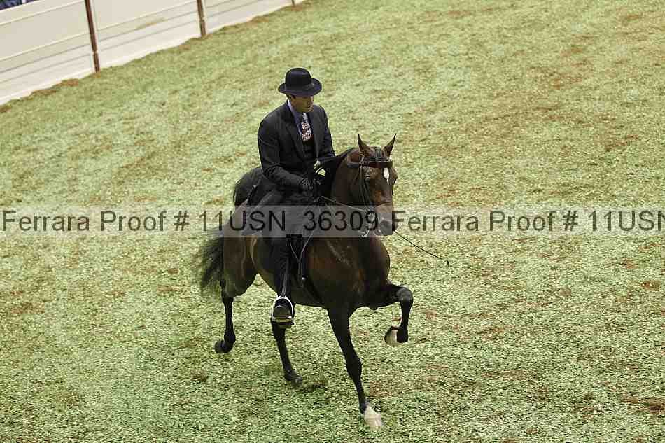 Proof 11usn_36309
