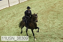 11usn_36309 proof