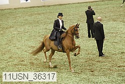 11usn_36317 proof