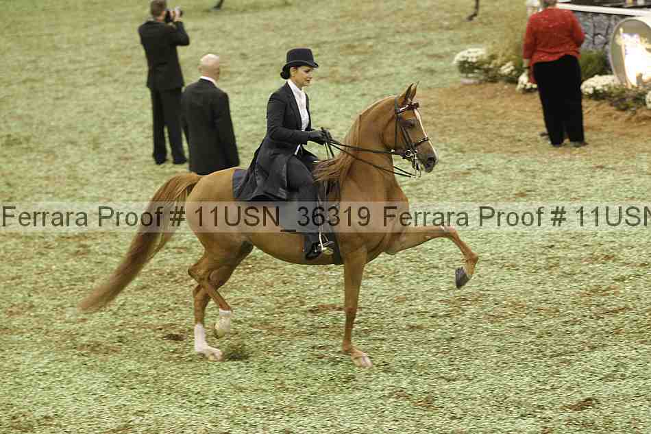 Proof 11usn_36319