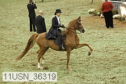 11usn_36319 proof