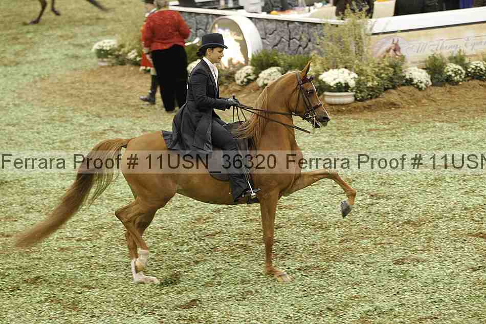 Proof 11usn_36320