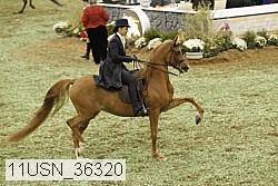 11usn_36320 proof