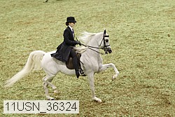 11usn_36324 proof