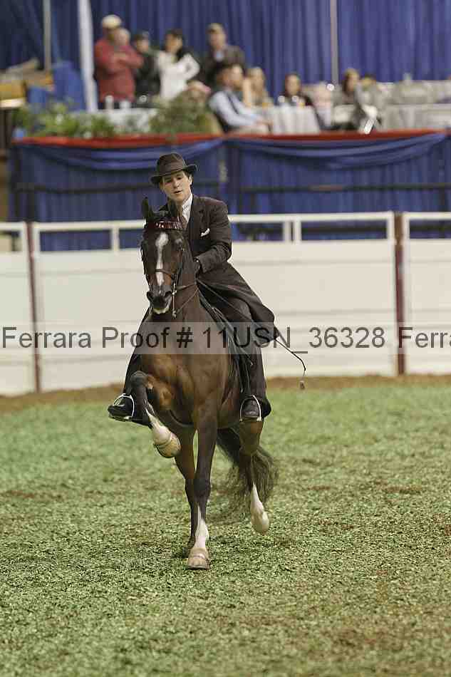 Proof 11usn_36328
