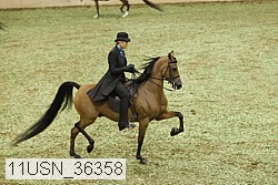 11usn_36358 proof
