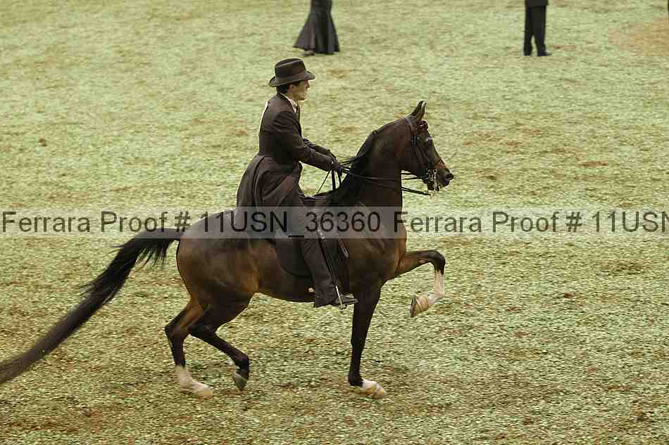 Proof 11usn_36360