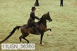 11usn_36360 proof