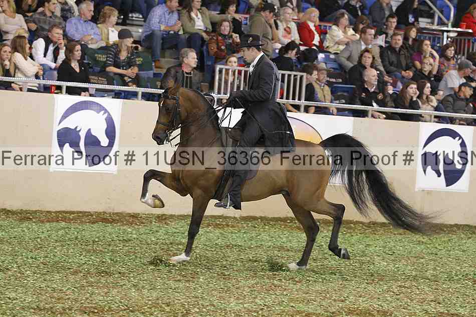 Proof 11usn_36366