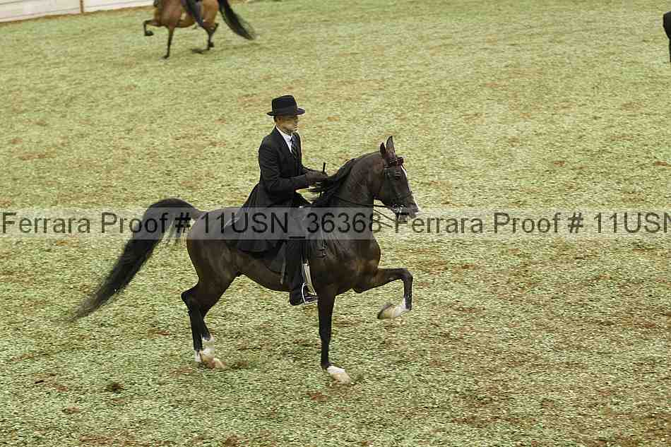 Proof 11usn_36368