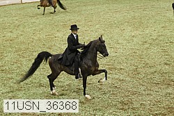 11usn_36368 proof
